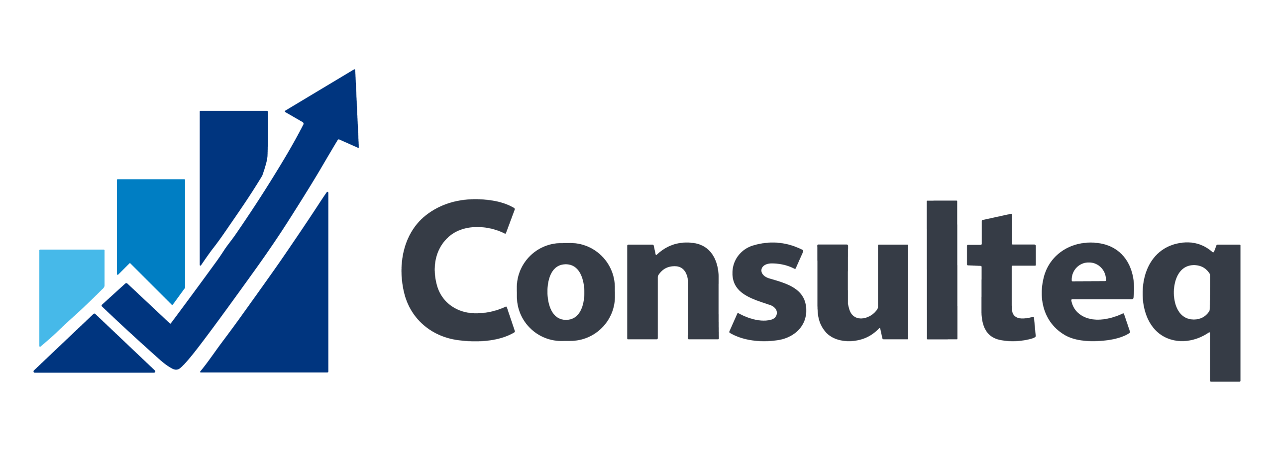 LOGO CONSULTEQ 01